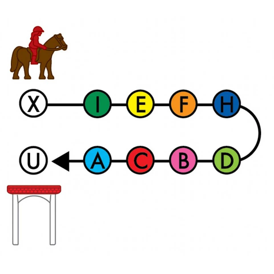 Horse Academy - Afbeelding 6